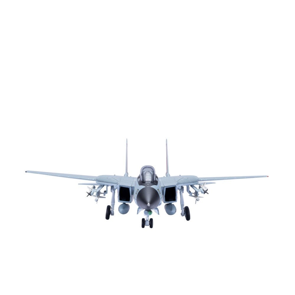 AIR FORCE ONE F-14 TOMCAT VF31 TOMCATTERS NAS OCEANA