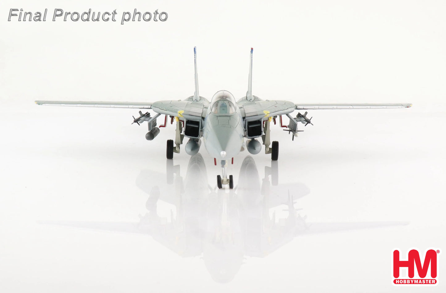 HOBBY MASTER F-14B TOMCAT OEF 163220 VF-143 "PUKIN DOGS" 2002