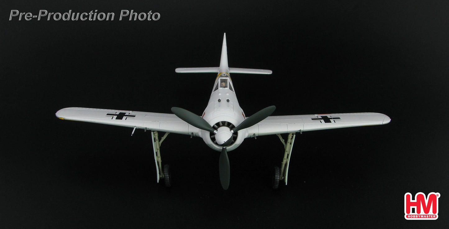 HOBBY MASTER FW 190A, 1./JG 54 GRUNHERZ WALTER NOWOTNY