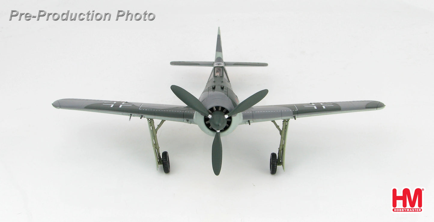HOBBY MASTER FW 190A EGON MAYER FRANCE 1943