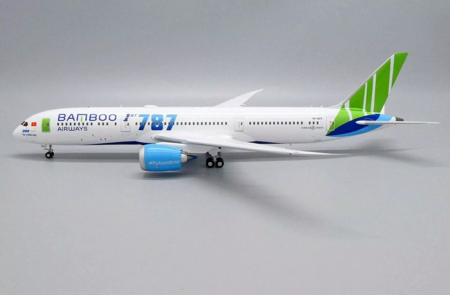 JC WINGS B787-9 DREAMLINER BAMBOO AIRWAYS REG: VN-A819