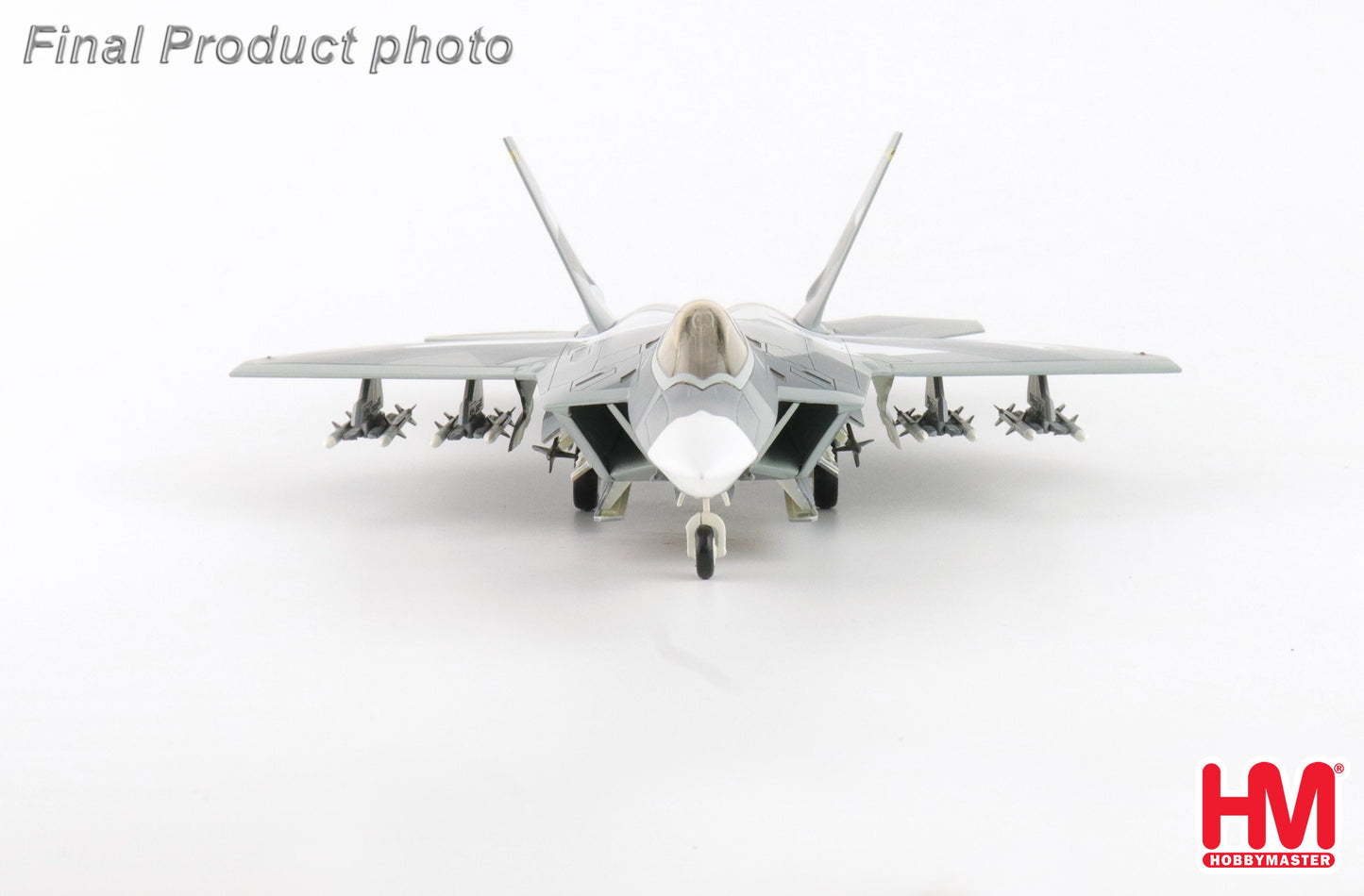 HOBBY MASTER F-22 USAF "SPLINTER CAMOUFLAGE (FICTITIOUS SCHEME)"
