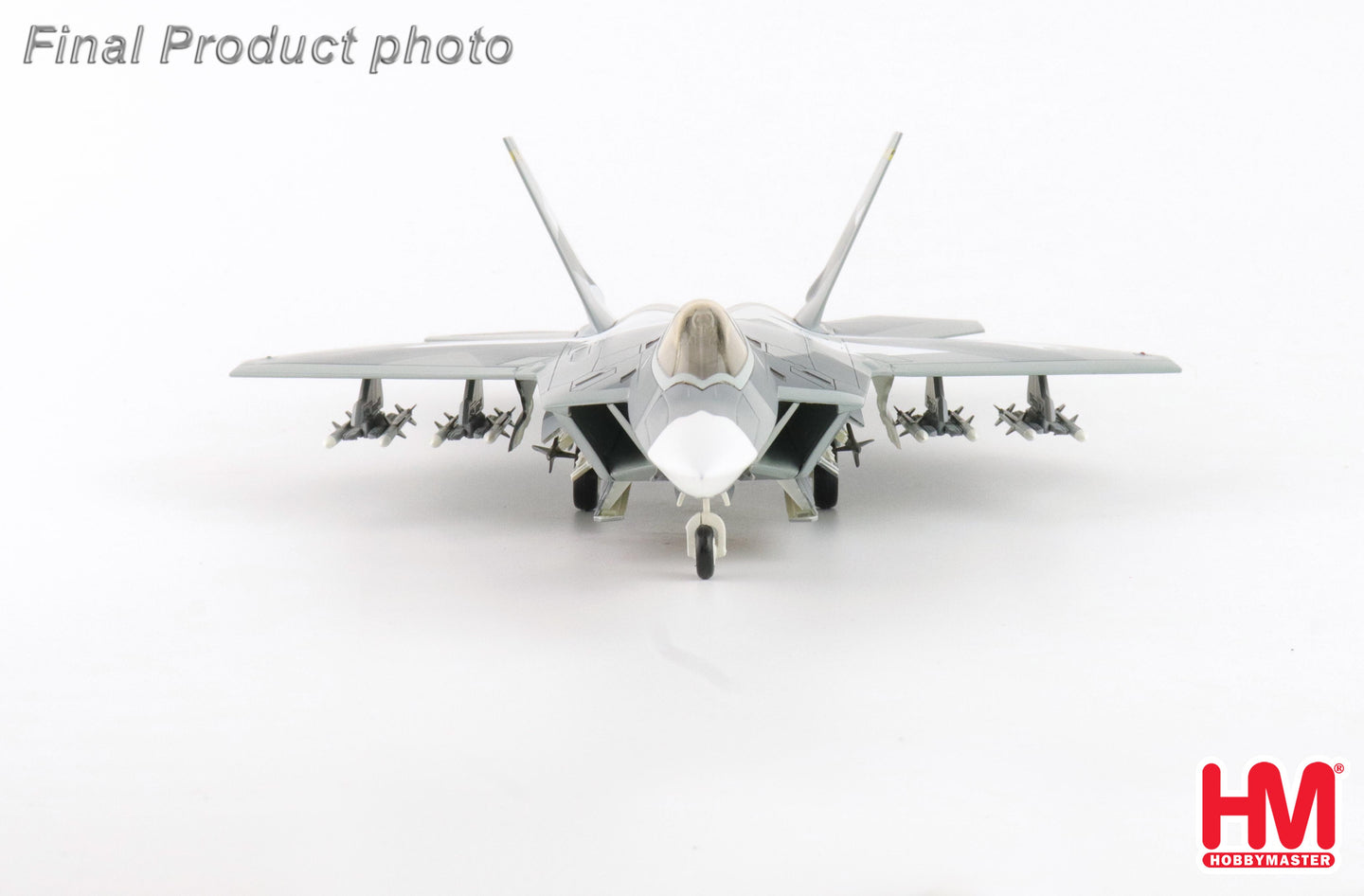 HOBBY MASTER F-22 USAF "SPLINTER CAMOUFLAGE (FICTITIOUS SCHEME)"