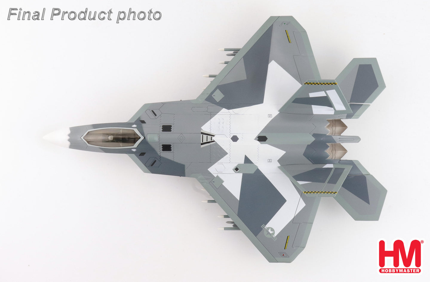 HOBBY MASTER F-22 USAF "SPLINTER CAMOUFLAGE (FICTITIOUS SCHEME)"