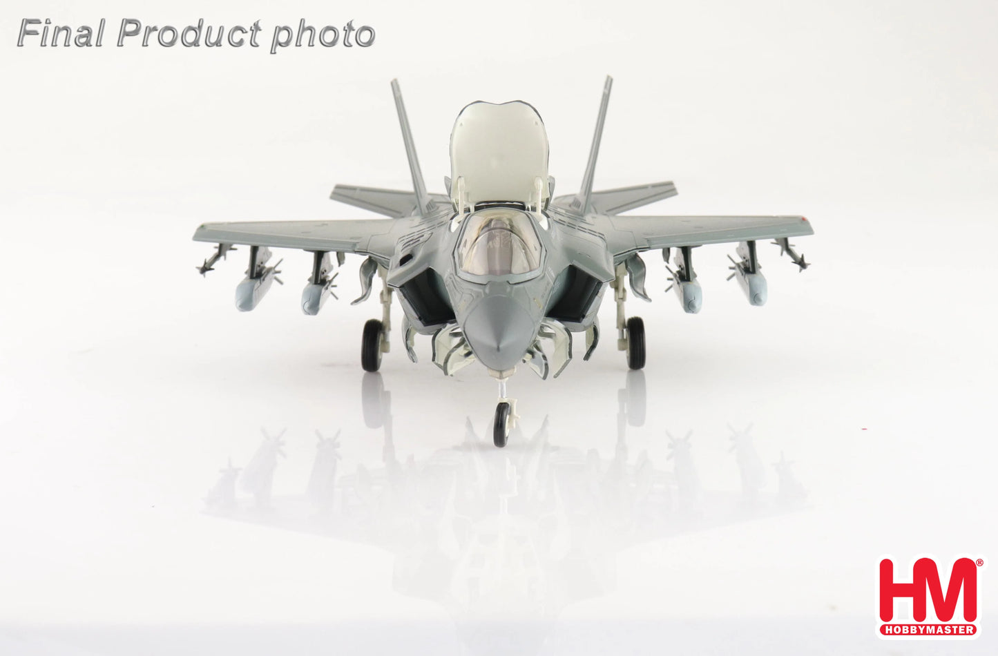HOBBY MASTER F-35B "BLACK DEATH" 170064 VMFA-542 TIGERS MCAS CHERRY POINT 2023