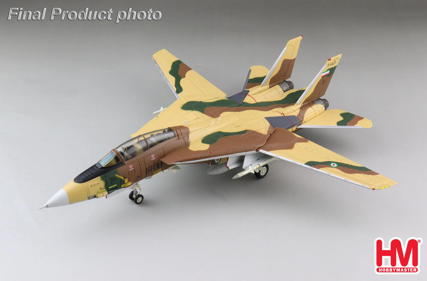 HOBBY MASTER F-14A TOMCAT