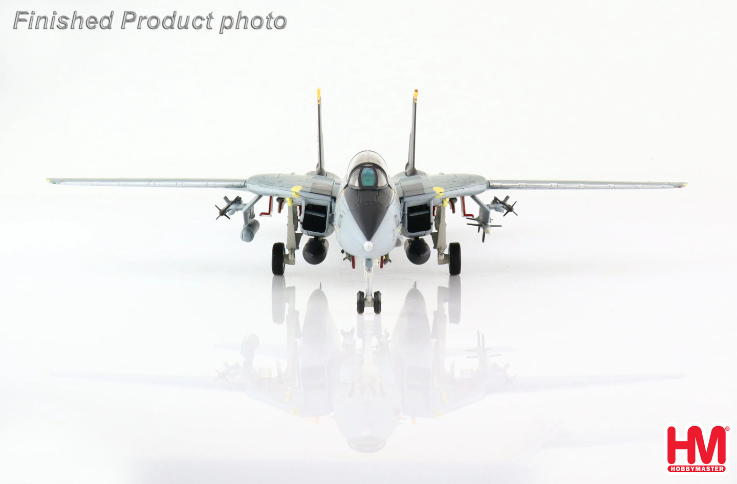HOBBY MASTER F-14B TOMCAT 163217 VF-103 NAS OCEANA