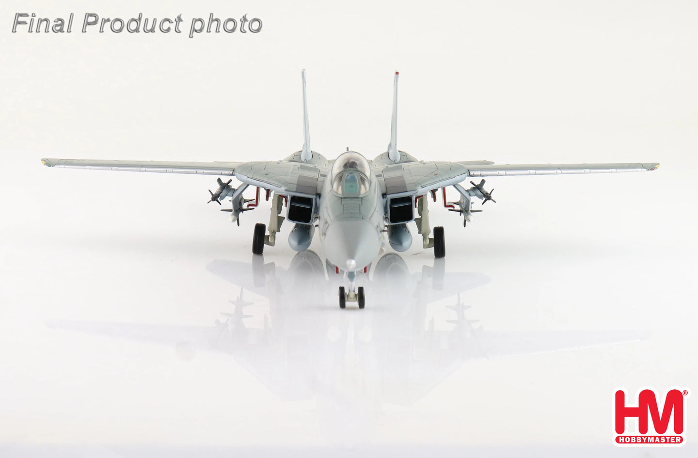 HOBBY MASTER F-14A TOMCAT "FIST OF THE FLEET" REG: 160685 US NAVY