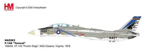 HOBBY MASTER F-14A TOMCAT 159434 VF-143 "PUNKIN DOGS" NAS OCEANA VIRGINIA 1976