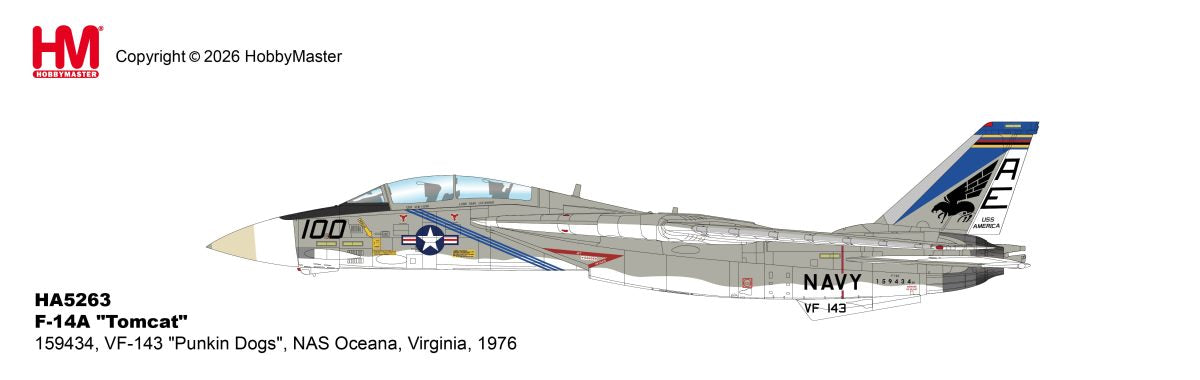 HOBBY MASTER F-14A TOMCAT 159434 VF-143 "PUNKIN DOGS" NAS OCEANA VIRGINIA 1976