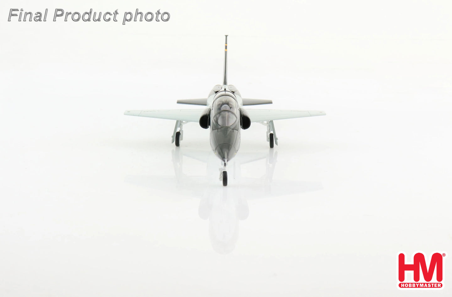 HOBBY MASTER NORTHROP T-38C TALON "STRIKIN SNAKES" 2009