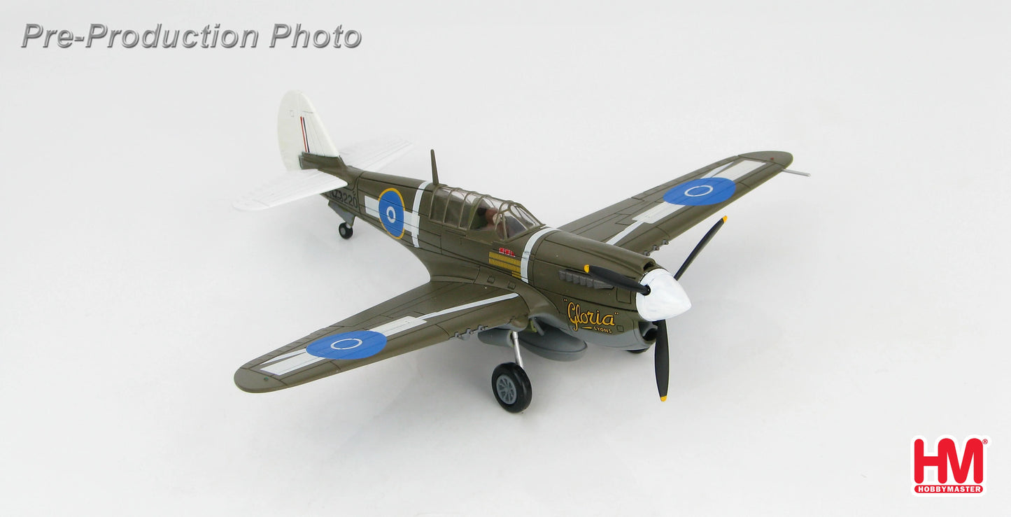 HOBBY MASTER P40N WARHAWK RNZAF No4 SERVICING UNIT