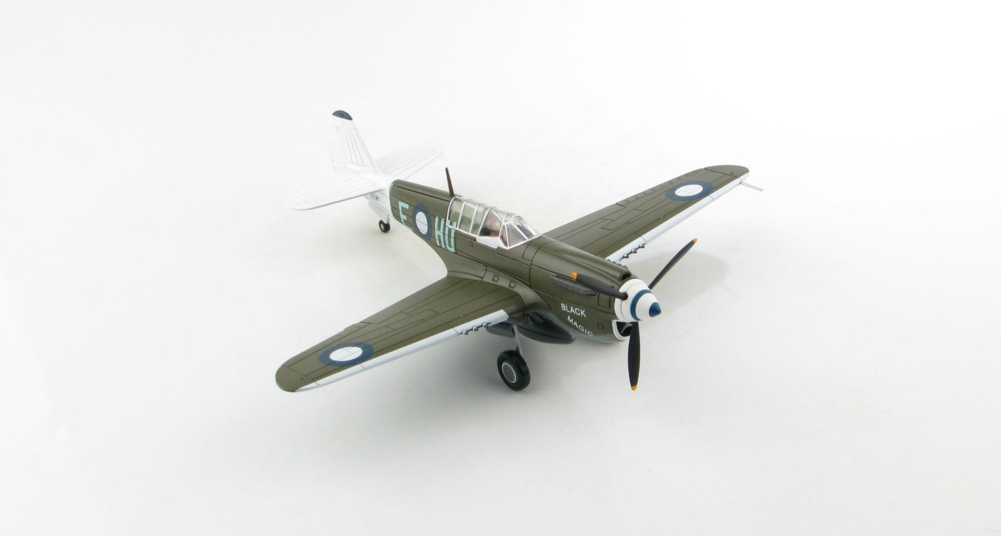 HOBBY MASTER P-40N KITTYHAWK BLACK MAGIC HU-E 78 SQN RAAF MOROTAI, EARLY 1945