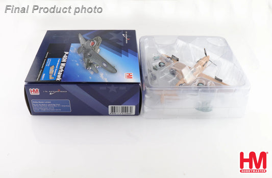 HOBBY MASTER P-40N WARHAWK "GERONIMO" LT. BRUCE CAMPBEL 45TH FS DEC 1943