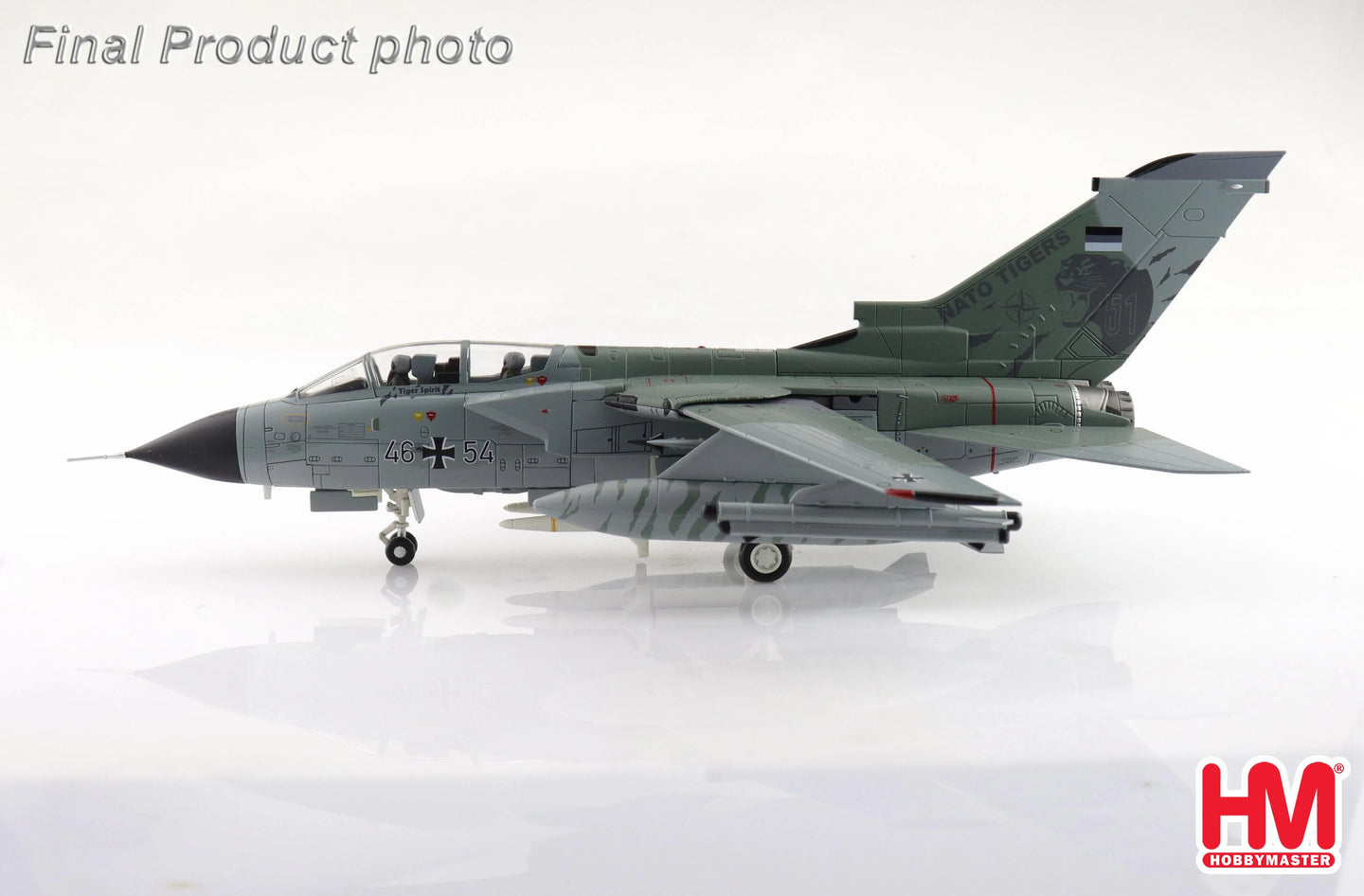HOBBY MASTER TORNADO ECR 46+54 TLG-51 SCHLESWIG-JAGEL AB JULY 2017