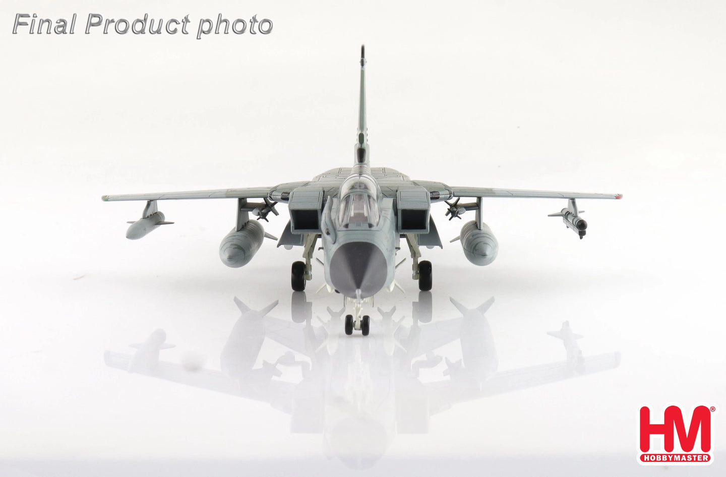 HOBBY MASTER TORNADO ECR 46+54 TLG-51 SCHLESWIG-JAGEL AB JULY 2017