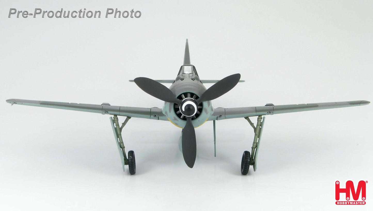 HOBBY MASTER FOCKE-WULF 190 A-8 IV/JG.3 WILHELM MORITZ