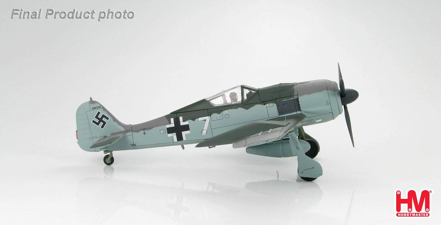 HOBBY MASTER FW 190A LUFTWAFFE DOPPELREITER TESTBED