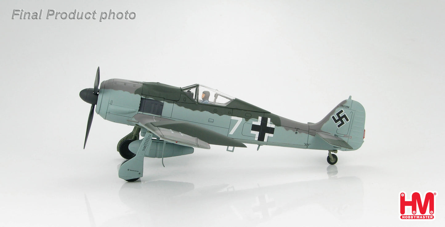 HOBBY MASTER FW 190A LUFTWAFFE DOPPELREITER TESTBED