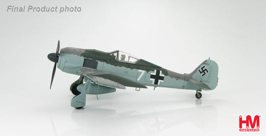 HOBBY MASTER FW 190A LUFTWAFFE DOPPELREITER TESTBED
