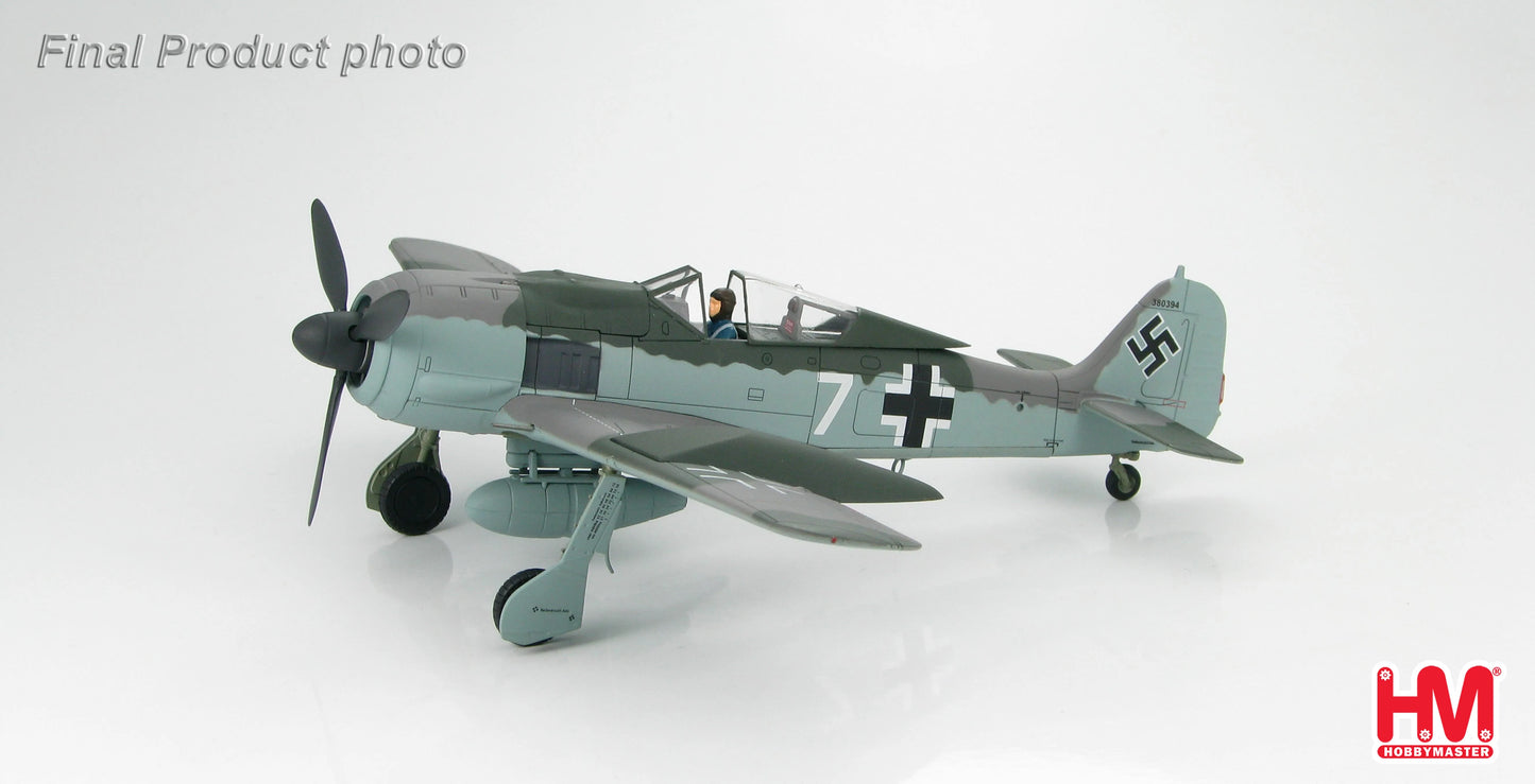 HOBBY MASTER FW 190A LUFTWAFFE DOPPELREITER TESTBED