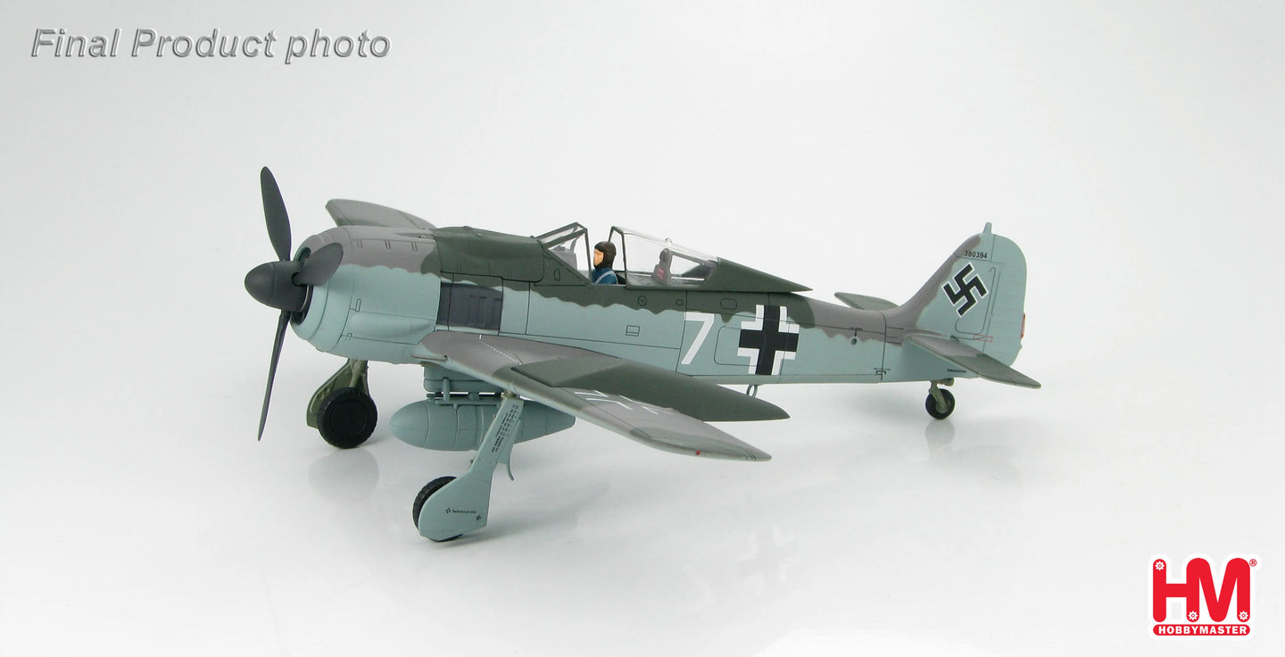 HOBBY MASTER FW 190A LUFTWAFFE DOPPELREITER TESTBED
