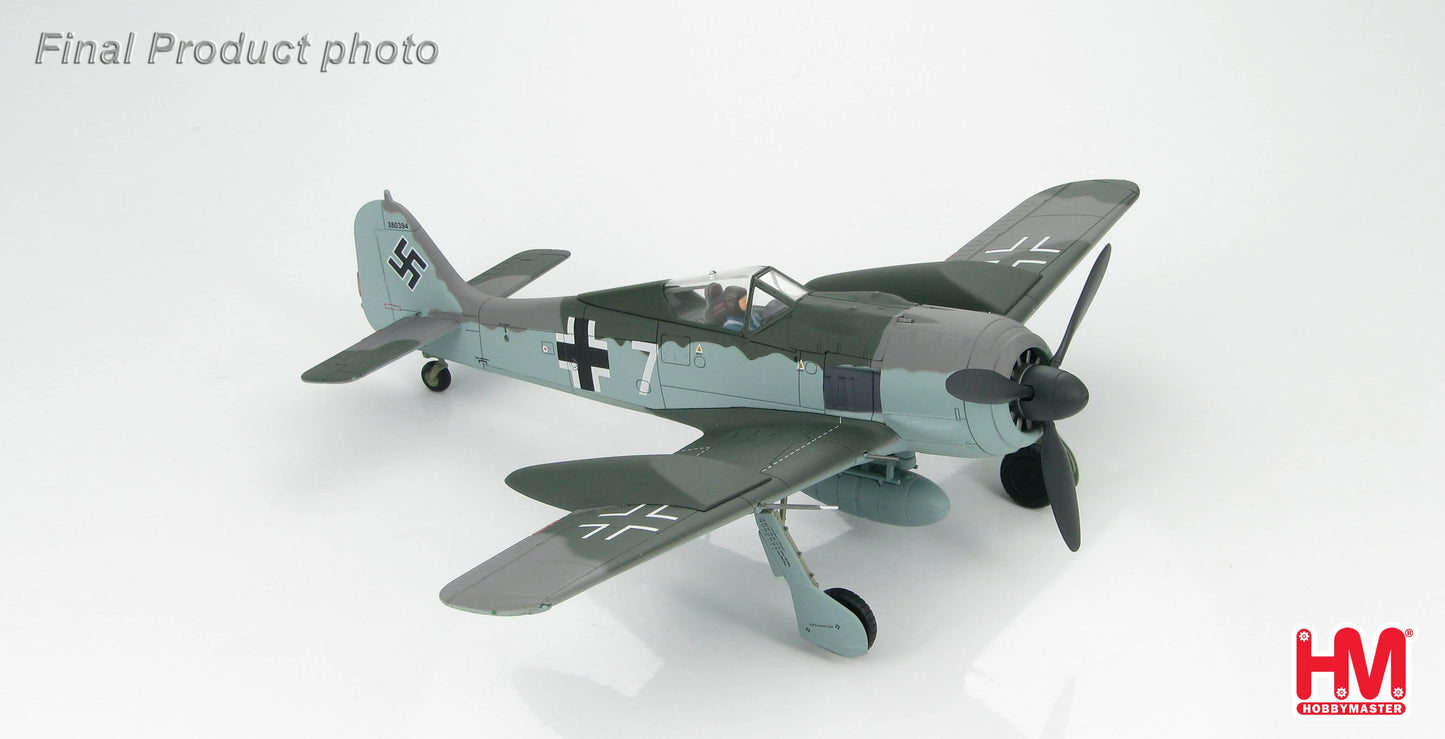 HOBBY MASTER FW 190A LUFTWAFFE DOPPELREITER TESTBED