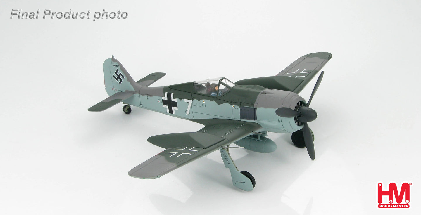 HOBBY MASTER FW 190A LUFTWAFFE DOPPELREITER TESTBED