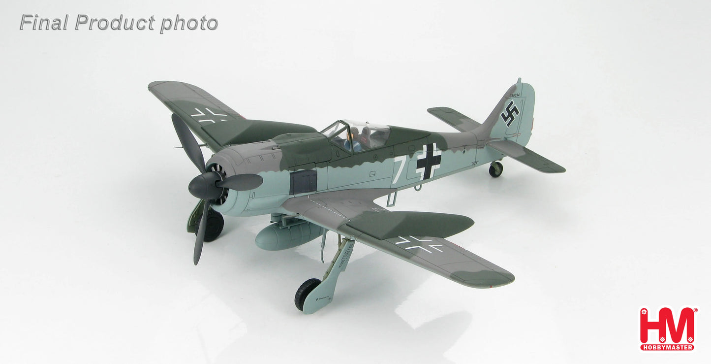 HOBBY MASTER FW 190A LUFTWAFFE DOPPELREITER TESTBED