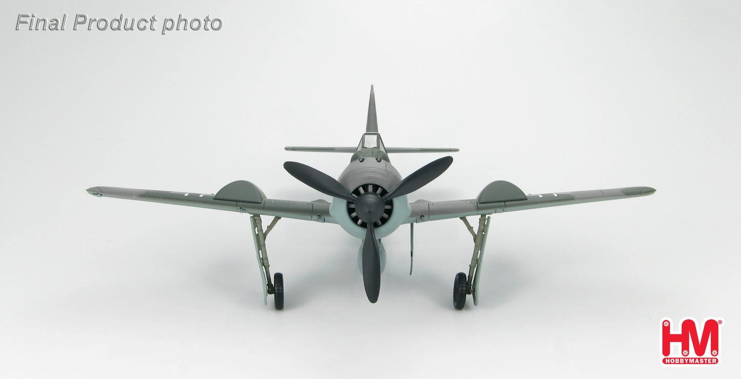 HOBBY MASTER FW 190A LUFTWAFFE DOPPELREITER TESTBED
