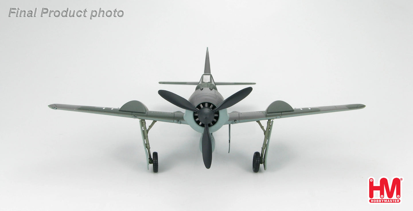 HOBBY MASTER FW 190A LUFTWAFFE DOPPELREITER TESTBED