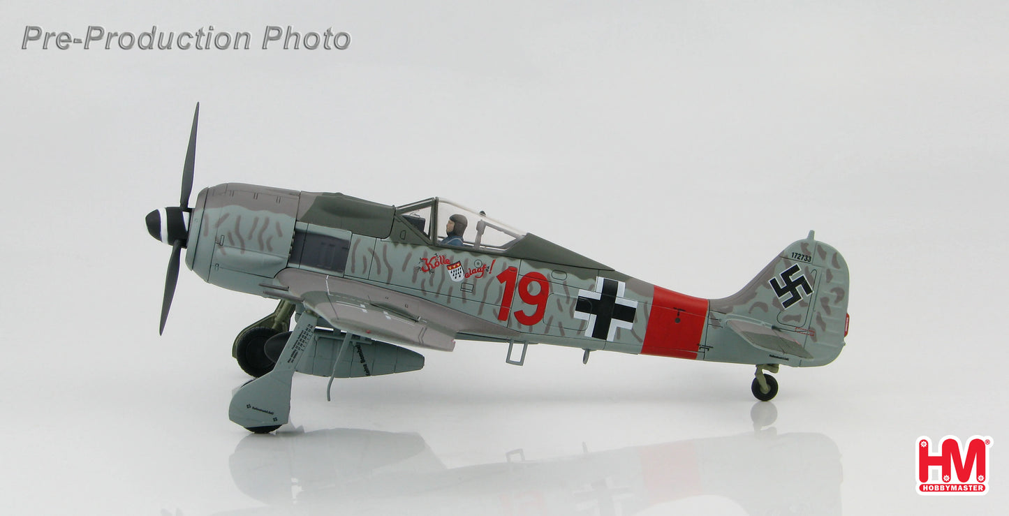 HOBBY MASTER FOCKE-WULF FW190 A-8 ERNST SCHRODER