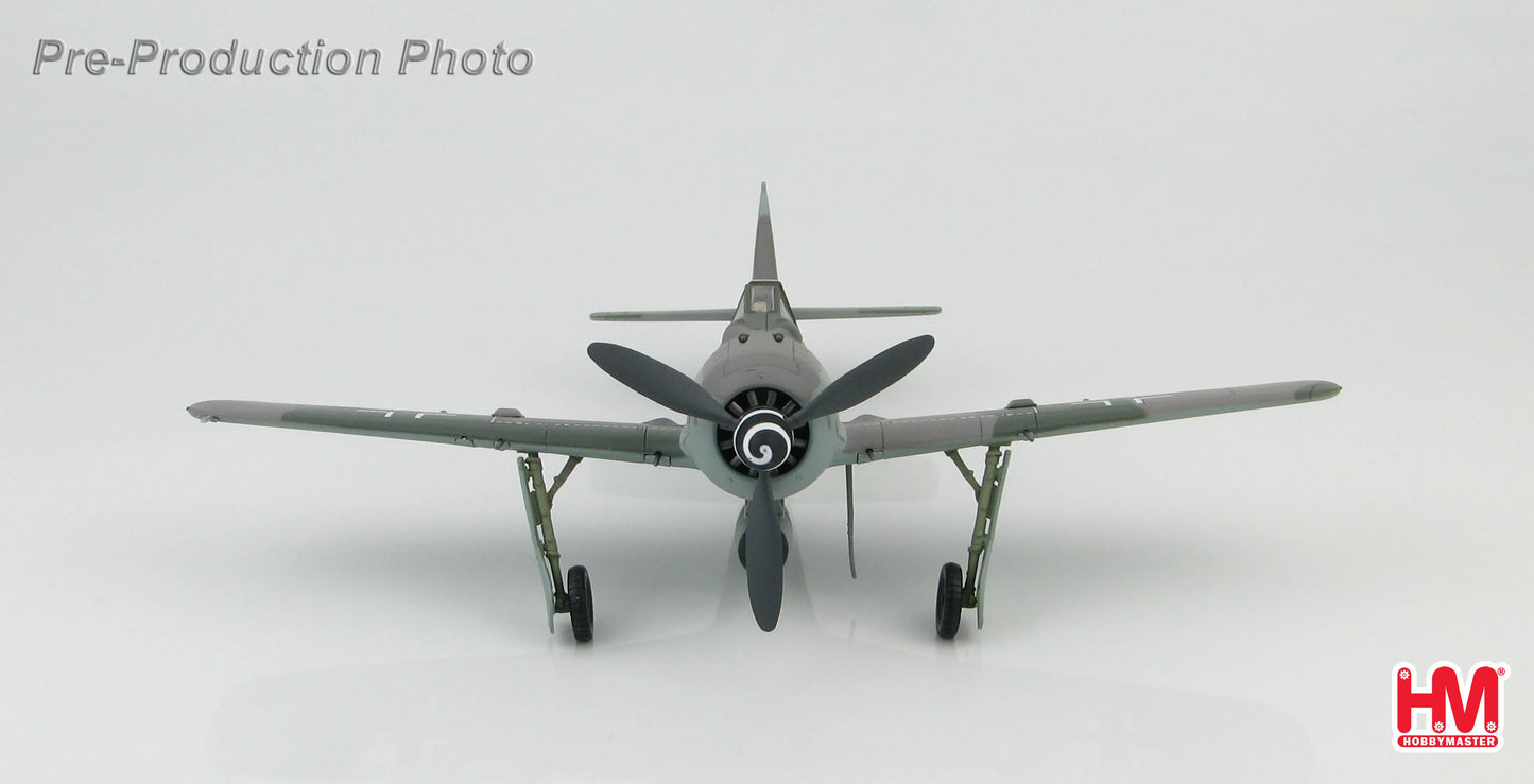 HOBBY MASTER FOCKE-WULF FW190 A-8 ERNST SCHRODER