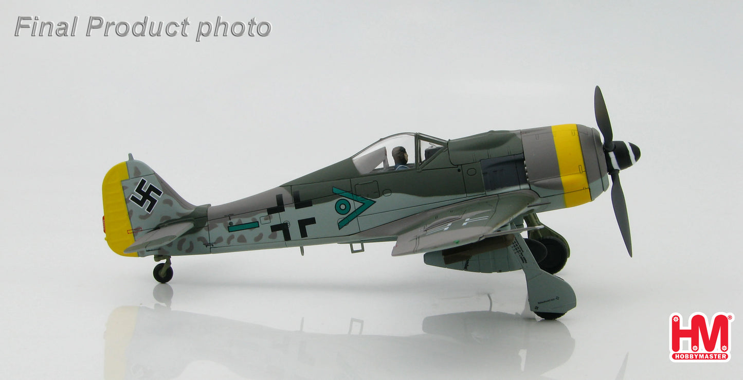 HOBBY MASTER FOCKE-WULF FW 190F LUFTWAFFE SG 1