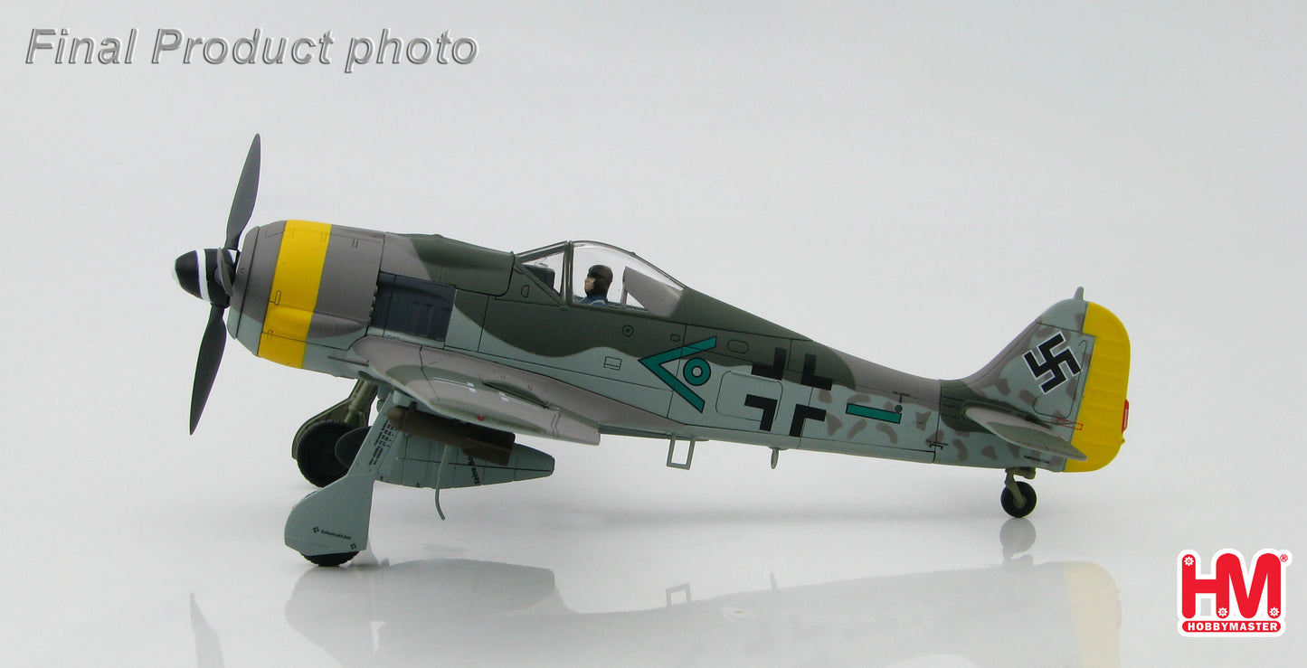 HOBBY MASTER FOCKE-WULF FW 190F LUFTWAFFE SG 1