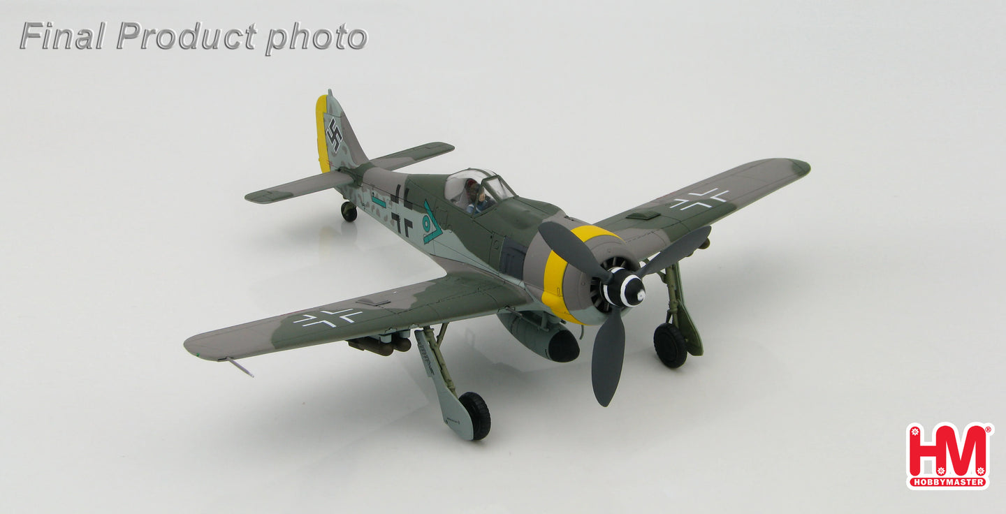HOBBY MASTER FOCKE-WULF FW 190F LUFTWAFFE SG 1
