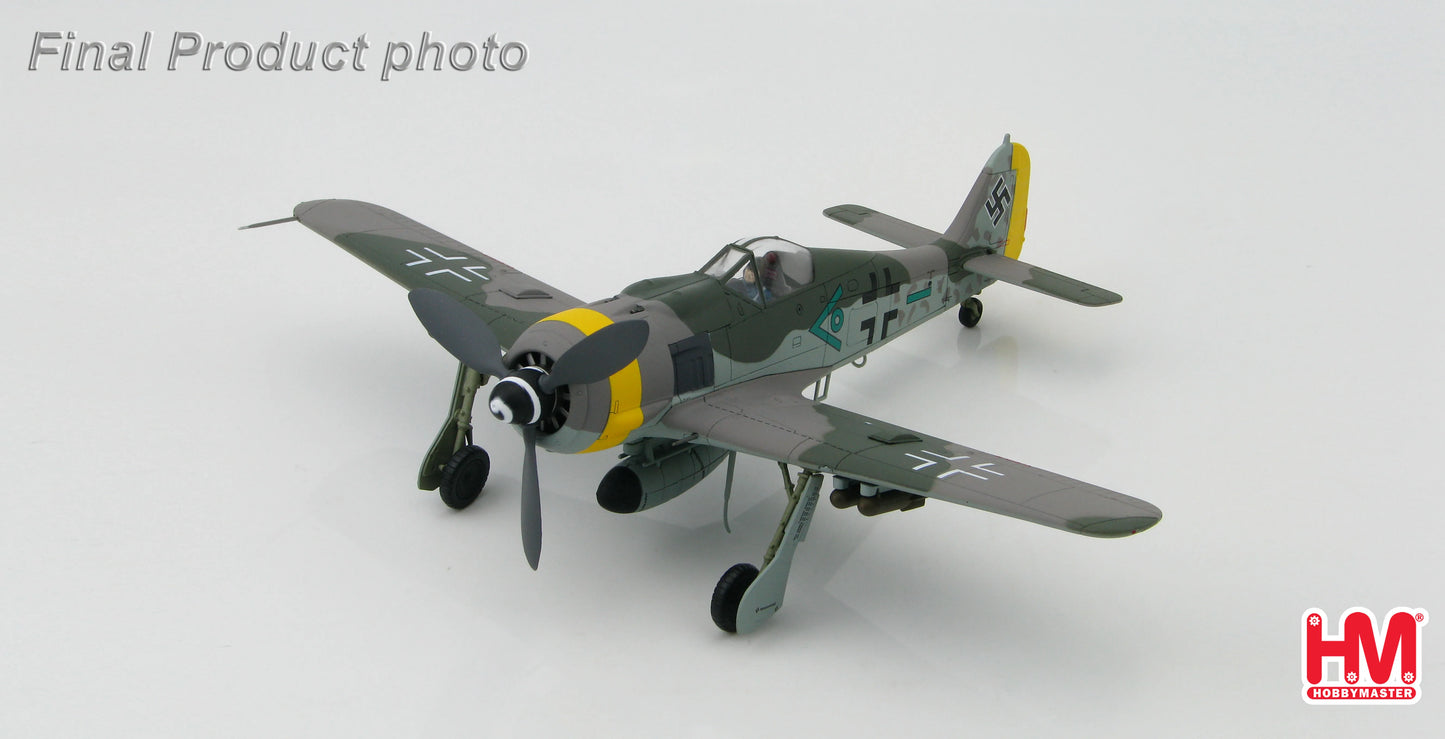HOBBY MASTER FOCKE-WULF FW 190F LUFTWAFFE SG 1