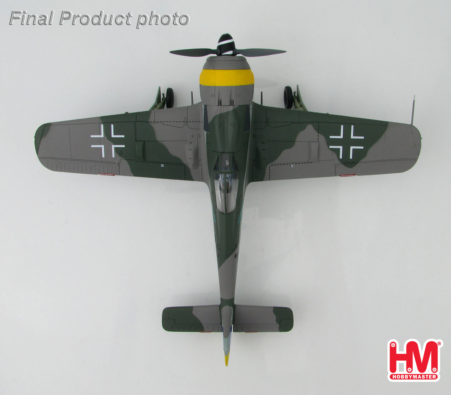 HOBBY MASTER FOCKE-WULF FW 190F LUFTWAFFE SG 1
