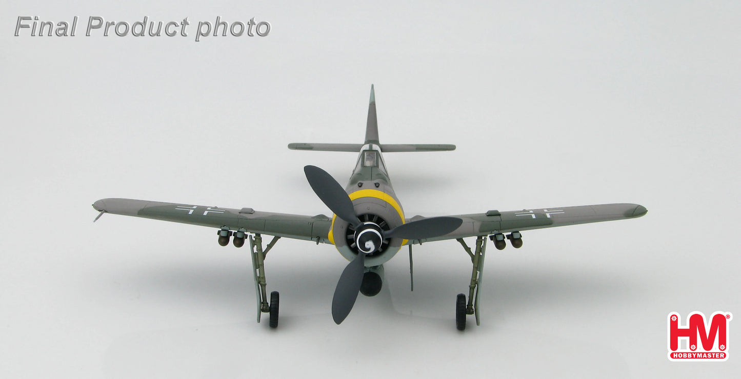 HOBBY MASTER FOCKE-WULF FW 190F LUFTWAFFE SG 1