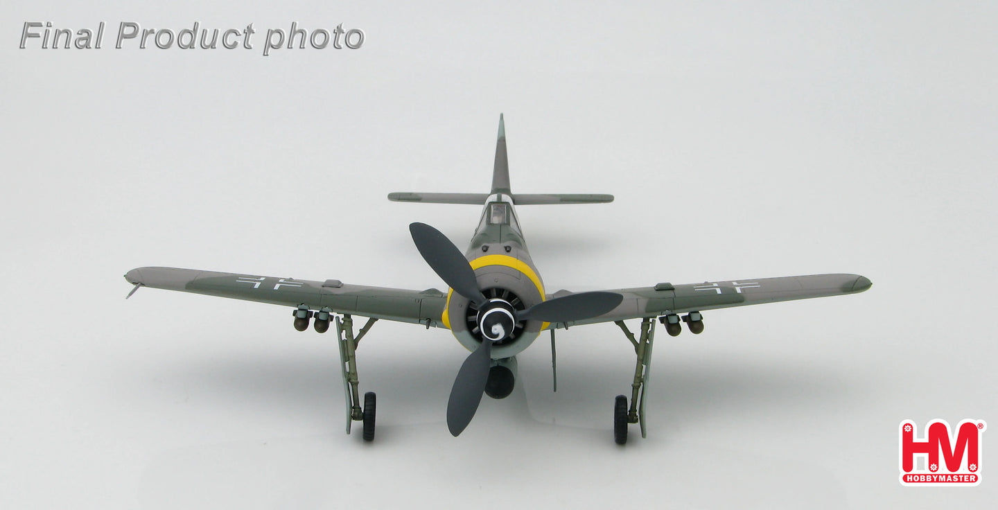 HOBBY MASTER FOCKE-WULF FW 190F LUFTWAFFE SG 1