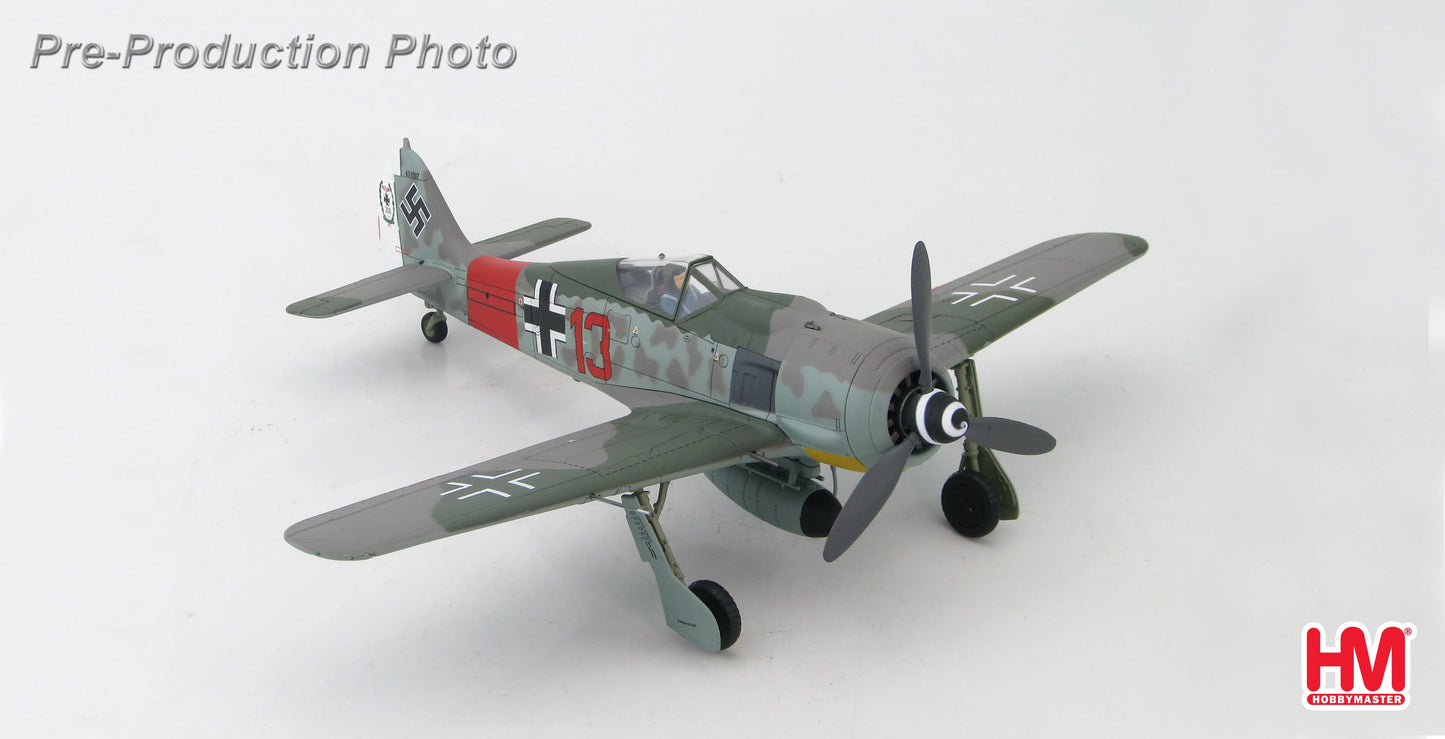 HOBBY MASTER FW 190A  "RED 13" HEINZ BAR GERMANY 1944