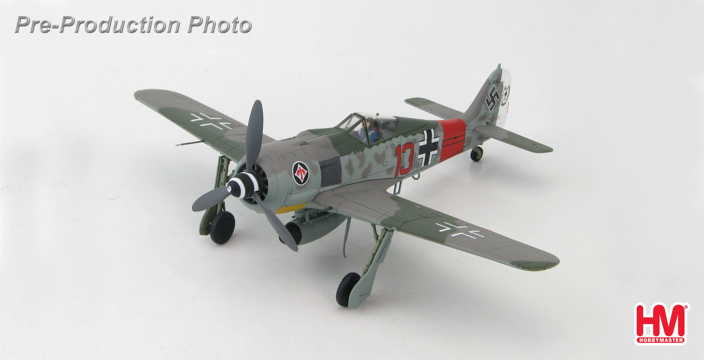HOBBY MASTER FW 190A  "RED 13" HEINZ BAR GERMANY 1944