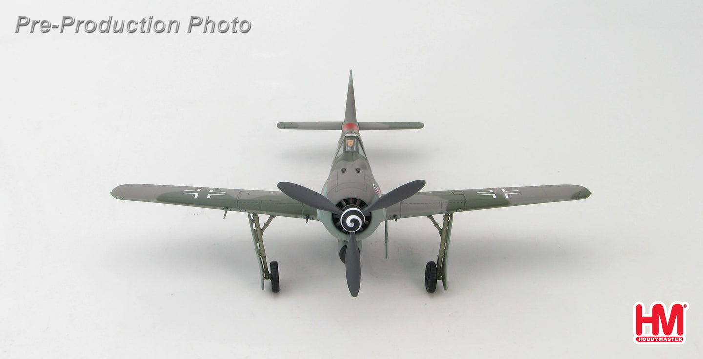 HOBBY MASTER FW 190A  "RED 13" HEINZ BAR GERMANY 1944