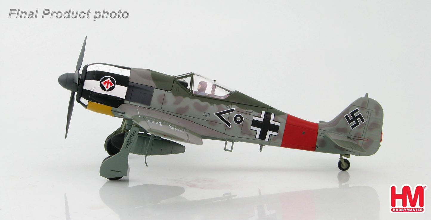 HOBBY MASTER FW 190A WILHELM KREBS GERMANY JANUARY 1944