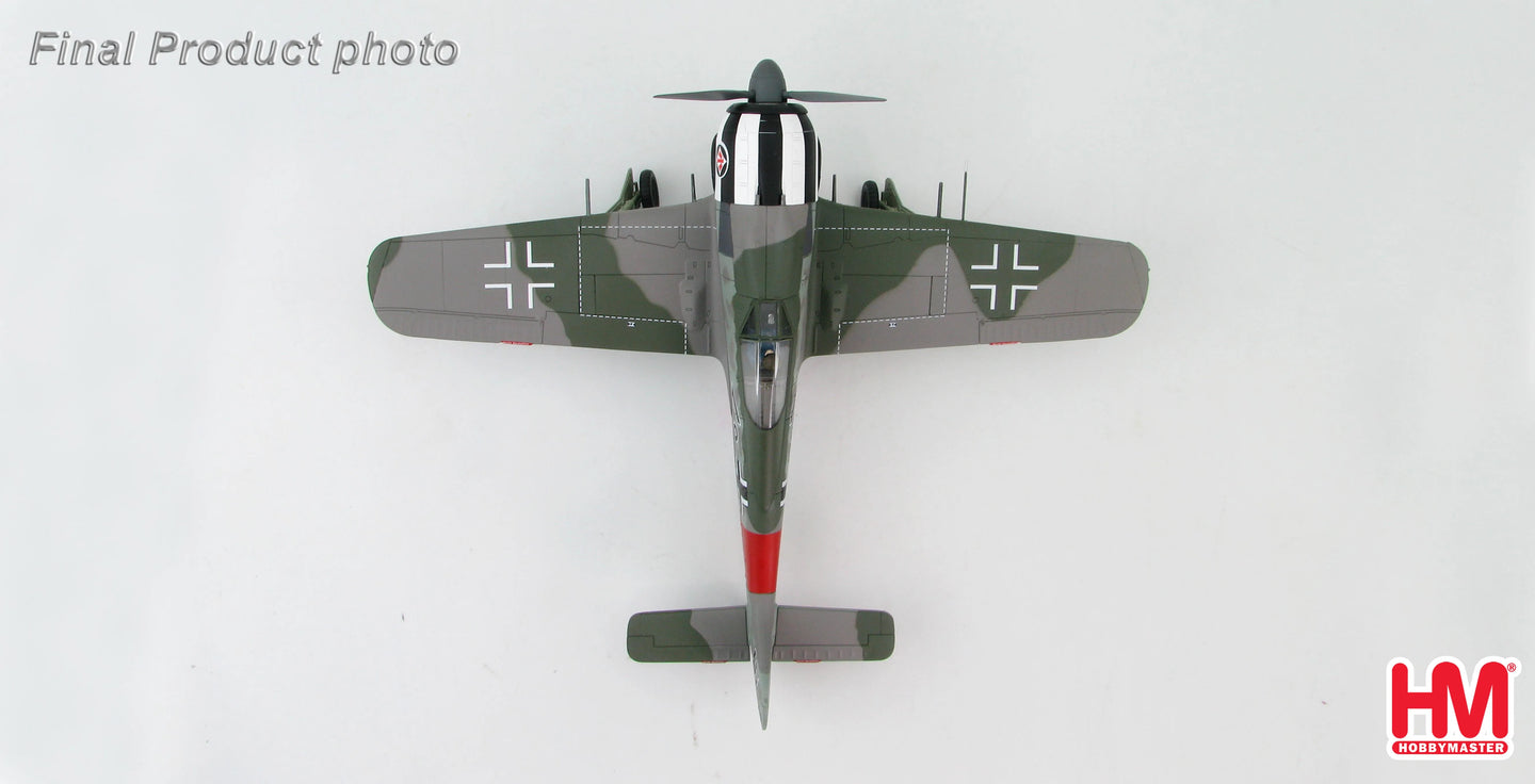 HOBBY MASTER FW 190A WILHELM KREBS GERMANY JANUARY 1944