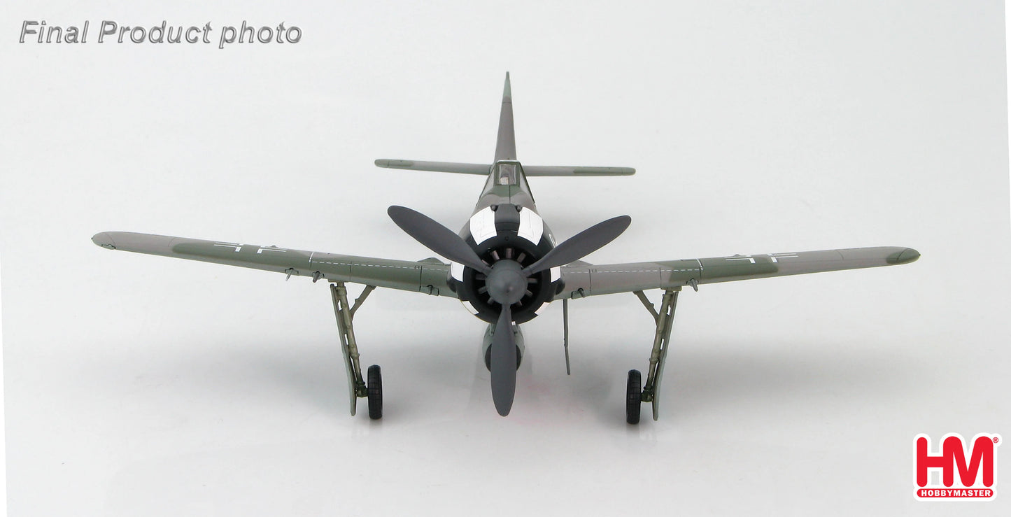 HOBBY MASTER FW 190A WILHELM KREBS GERMANY JANUARY 1944