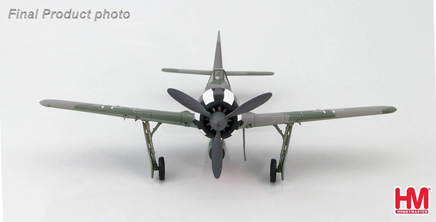 HOBBY MASTER FW 190A WILHELM KREBS GERMANY JANUARY 1944