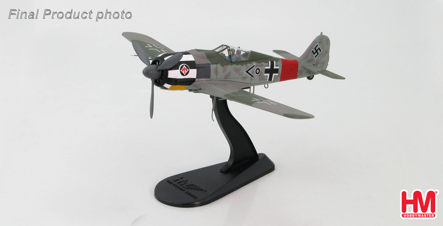 HOBBY MASTER FW 190A WILHELM KREBS GERMANY JANUARY 1944