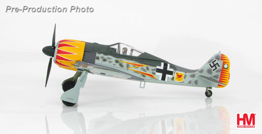 HOBBY MASTER FW-190A LUFTWAFFE JG 2 RICHTOFEN HERMANN GRAF FRANCE 1943