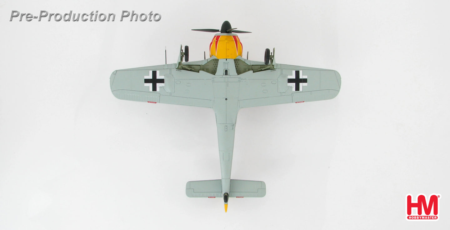 HOBBY MASTER FW-190A LUFTWAFFE JG 2 RICHTOFEN HERMANN GRAF FRANCE 1943